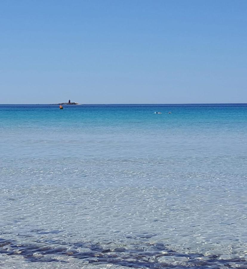 Apartment Fronte Porto Alghero